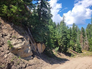 Lot & Road2