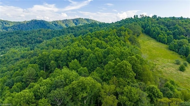 TBD 6 Big Laurel Rd, Creston, NC 28615 - photo 6