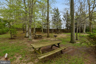 9236 Cardinal Forest Ln unit 9236C-, Lorton, VA 22079 - photo 5