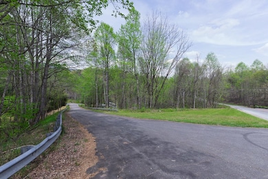 00 Battle Creek Rd, Sylva, NC 28779 - photo 6