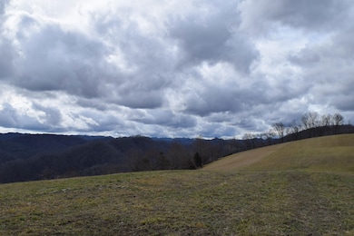 0 Big Springs Rd unit 19372195, Eidson, TN 37731 - photo 5