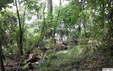 View - Lot interior looking toward lake.