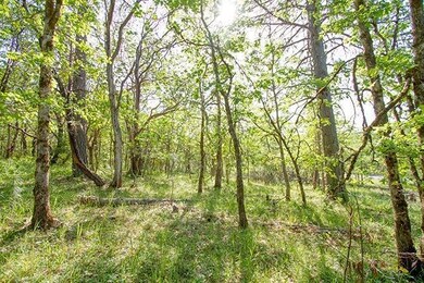 0 Hugo Rd, Grants Pass, OR 97526 - photo 4