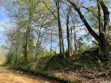 4576 Greene Road 610, Beech Grove, AR 72412 - photo 3