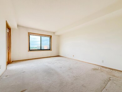 110 1st Ave NE unit F1006, Minneapolis, MN 55413 - photo 6