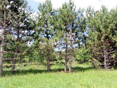 0 Old 35 unit 1531995, Webster, WI 54893 - photo 3