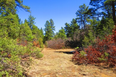0 Chipmunk Dr unit B46 17-366, Trinidad, CO 81082 - photo 6