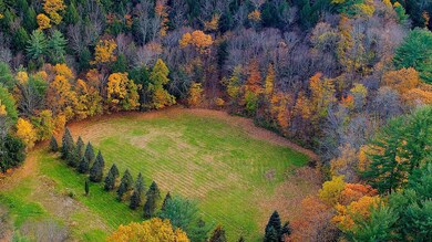 Lots 20.0, 20.3 Farr Rd, Chesterfield, NH 03466 - photo 3