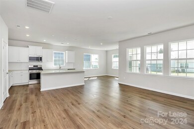 148 Pampas Place, Statesville, NC 28625 - photo 3