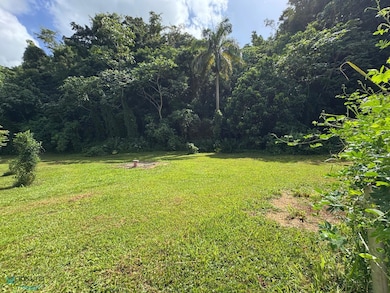 1 Bo Dominguito Carr 651, Arecibo, PR 00612 - photo 6