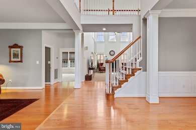 7217 White House Dr, Springfield, VA 22153 - photo 4