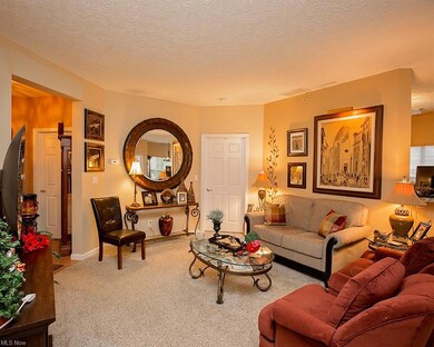 705 Aqua Marine Blvd, Avon Lake, OH 44012 - photo 4