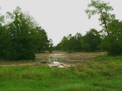 Land/Lot.