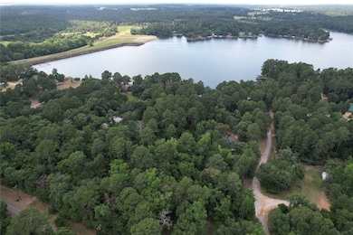 Aerial picture of the area.