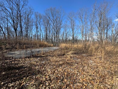 Tract 37 Village Dr, Cohutta, GA 30710 - photo 5