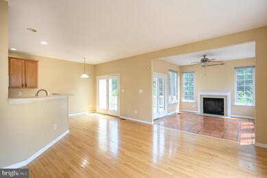 22544 Scattersville Gap Terrace, Ashburn, VA 20148 - photo 6
