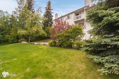 Side Yard_1825-SMALL