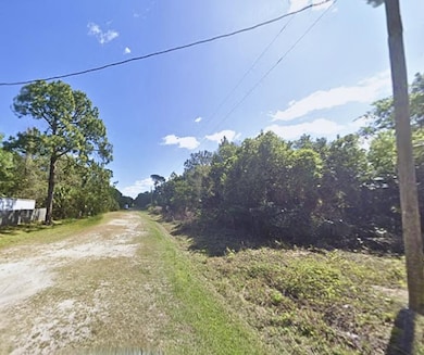 429 Birch Blvd, Georgetown, FL 32139 - photo 3