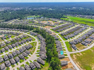 37 Courageous Side Way, Magnolia, TX 77354 - photo 4