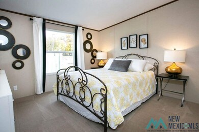 918 Butternut St, Carlsbad, NM 88220 - photo 3