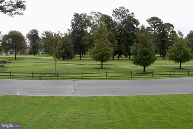 29427 Cripple Creek Dr, Dagsboro, DE 19939 - photo 5