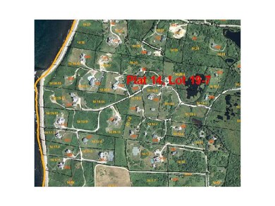 Aerial View.