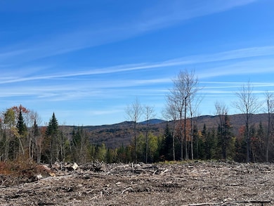 - Canaan Hill Rd, Canaan, VT 05903 - photo 5