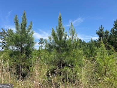 001 Cleghorn Dr, Tallassee, AL 36078 - photo 3