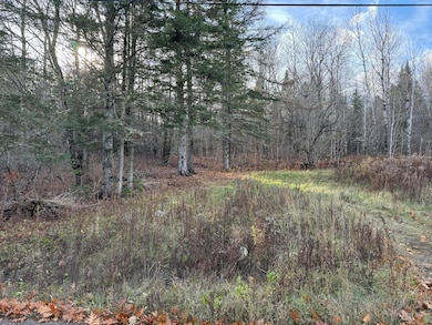 Map11 Lot1 High St, Westfield, ME 04730 - photo 4