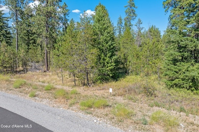 Lot 3 Dawson Lp, Athol, ID 83801 - photo 2