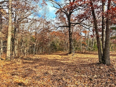 000 SE 500 Rd, Collins, MO 64738 - photo 6