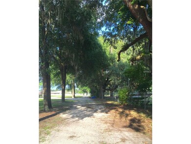 Oak Tree Lined Driveway from Lake Markham Road