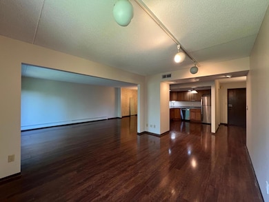 2485 Londin Ln E unit 418, Saint Paul, MN 55119 - photo 7