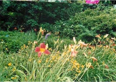 226 Shutesbury Rd, Amherst, MA 01002 - photo 7