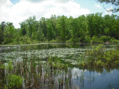 0 Riverview Ct (Lot #45) unit 1081359, Crossville, TN 38555 - photo 2