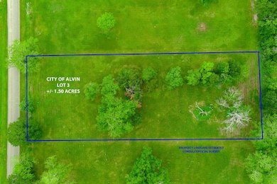 Lot has beautiful mature trees to enjoy