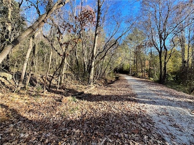 0 Prater Farm Rd, Seneca, SC 29678 - photo 4