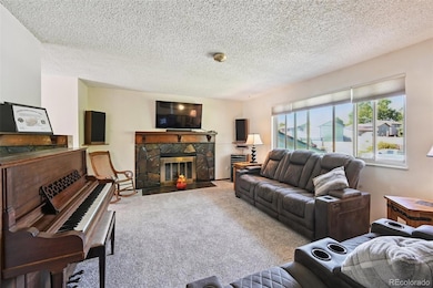 Living Room w/Wood Burning Fireplace