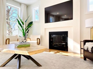 20 Mirasol Cir unit 20, Acton, MA 01720 - photo 5