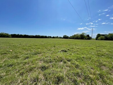 View of local wilderness featuring a rural view