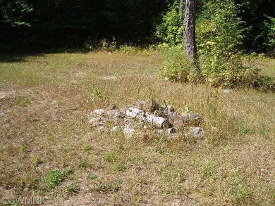 0 Harlan Rd unit 13049918, Copemish, MI 49625 - photo 6