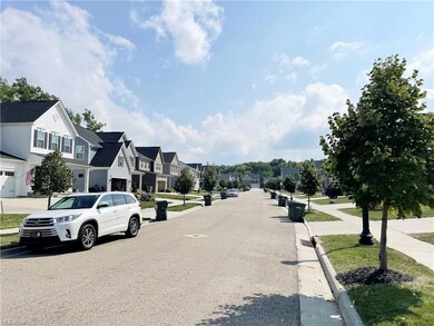 Beautiful Street