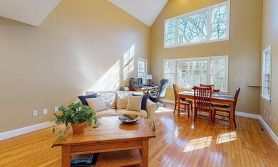 27-Curry-comb-West-Barnstable-copy-02292