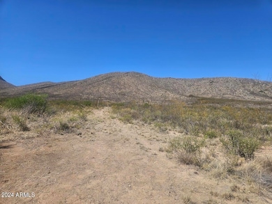 38 Acres W Highway 82 -- unit 6, Huachuca City, AZ 85616 - photo 4