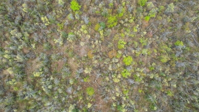 16-web-or-mls-DJI_0987