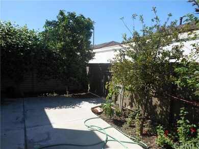 [ATOP WITH FRUIT TREES, ORANGE, FIG, PLUM