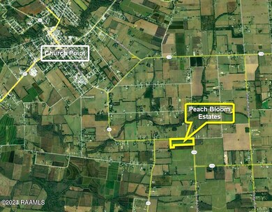 2700 Blk Peach Bloom Hwy unit Lot 4, Church Point, LA 70525 - photo 6