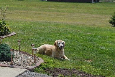 She loves her yard!!