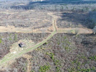 0 Abernathy Rd, Flora, MS 39071 - photo 6