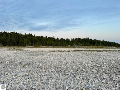 TBD Mrs Reddings Trail, Beaver Island, MI 49782 - photo 7